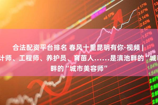 合法配资平台排名 春风十里昆明有你·视频 | 他们是设计师、工程师、养护员、育苗人……是滇池畔的“城市美容师”