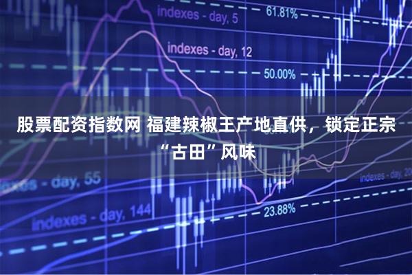股票配资指数网 福建辣椒王产地直供，锁定正宗“古田”风味