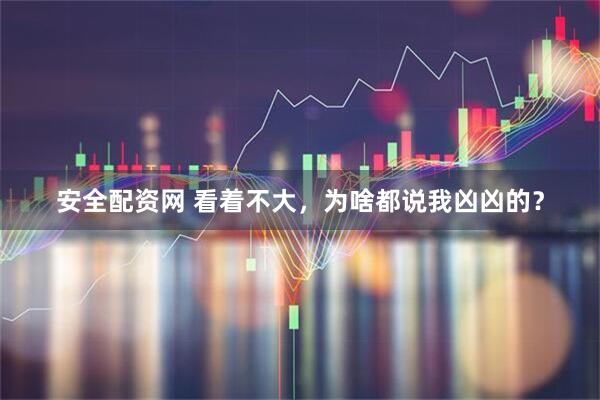 安全配资网 看着不大，为啥都说我凶凶的？