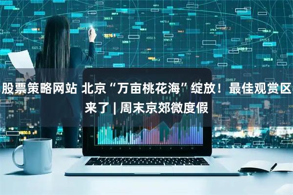 股票策略网站 北京“万亩桃花海”绽放！最佳观赏区来了 | 周末京郊微度假