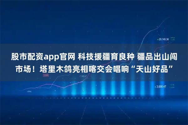 股市配资app官网 科技援疆育良种 疆品出山闯市场！塔里木鸽亮相喀交会唱响“天山好品”