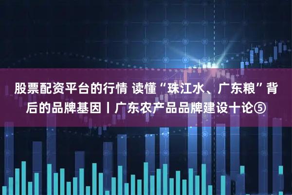 股票配资平台的行情 读懂“珠江水、广东粮”背后的品牌基因丨广东农产品品牌建设十论⑤